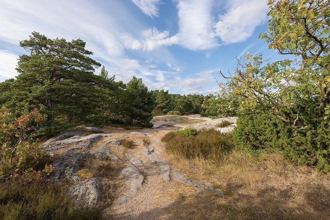 Om vår resa